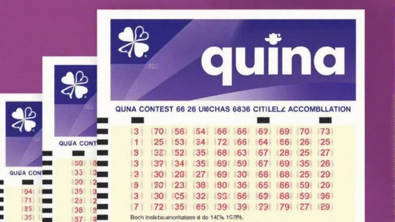 Quina 6836: Resultado sem ganhador e prêmio acumula para R$ 7 milhões